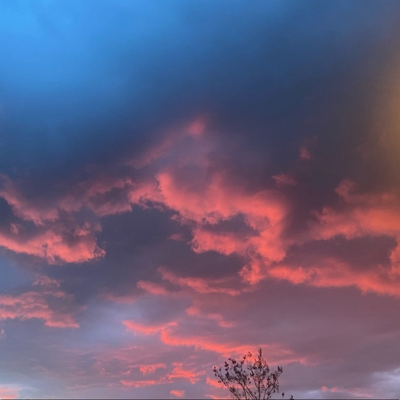 Meet your Posher, Giselle - Picture 1 of 1